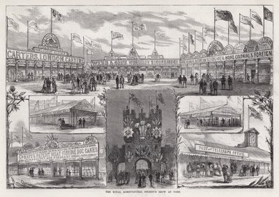 De tentoonstelling van de Koninklijke Landbouwmaatschappij in York door Frank Watkins
