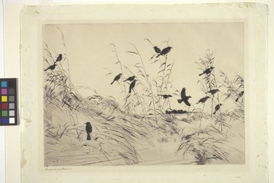 Merels en riet door Frank Weston Benson