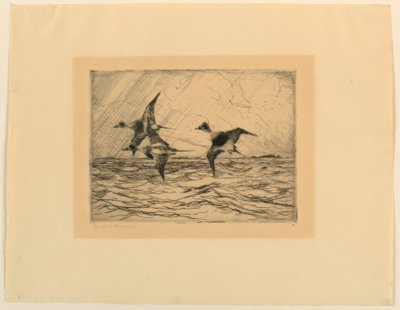 Eenden door Frank Weston Benson