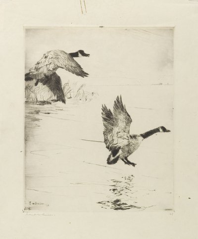 Ganzen landen door Frank Weston Benson