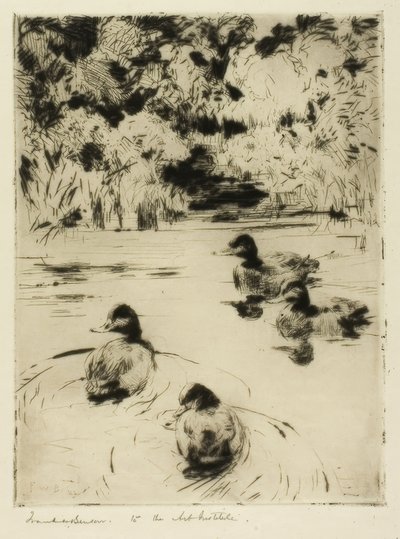 Kleine blauwbekjes door Frank Weston Benson