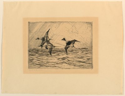 Oude eenden door Frank Weston Benson