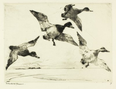 Tafeleenden door Frank Weston Benson
