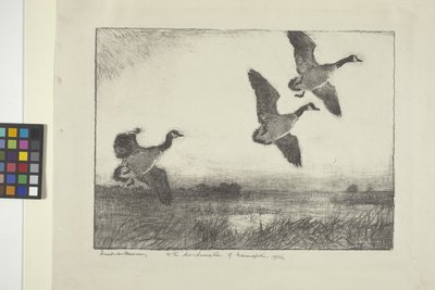 Drie Ganzen door Frank Weston Benson
