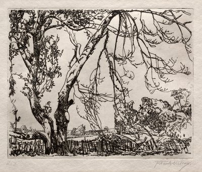 Appelboom door Frank Wilcox