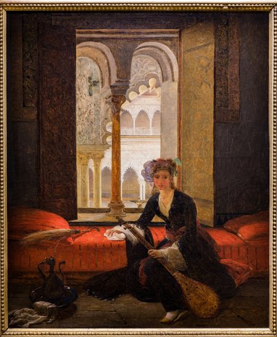 Sultana in een interieur (olieverf op doek) door François Auguste Biard