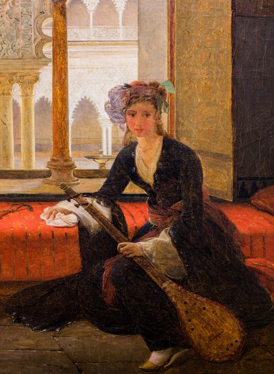 Sultana in een interieur (olieverf op doek) door François Auguste Biard