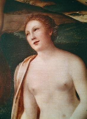 Buste van een nimf, (detail) door François Clouet