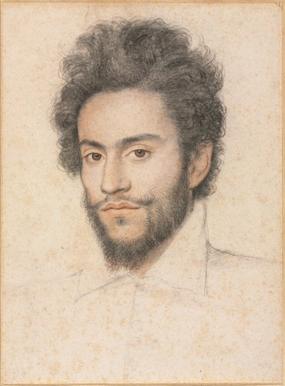 Jonge Man met een Baard door François Quesnel