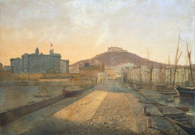 Uitzicht op de Certosa van San Martino en het Sant