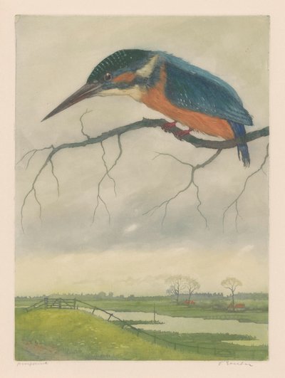 IJsvogel op een tak in een weidelandschap door Frans Everbag (signed by artist)