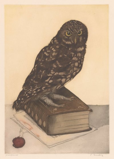 Uil zittend op een boek door Frans Everbag (signed by artist)