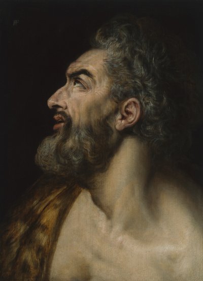 Studiekop van een bebaarde man (c.1565) door Frans Floris