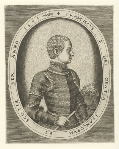 Portret van Frans II van Frankrijk 1544-1560, 1559 door Frans Huys