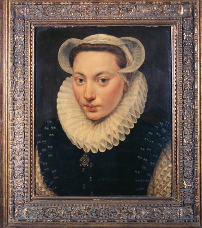 Portret van een Jonge Dame door Frans I Pourbus