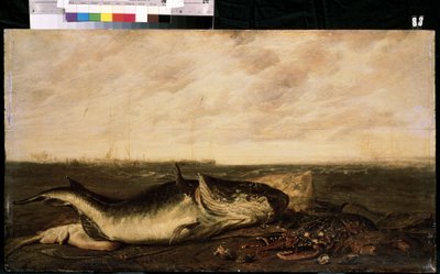 Vis en kreeft op het strand door Frans Ryckhals
