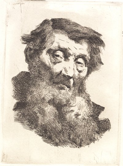 Oude man met gespleten grijze baard door Frans Schwartz