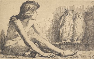 Het meisje met de uilen door Frans Schwartz