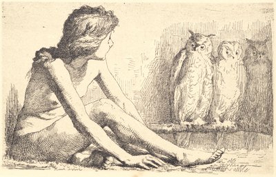 Het meisje met de uilen door Frans Schwartz