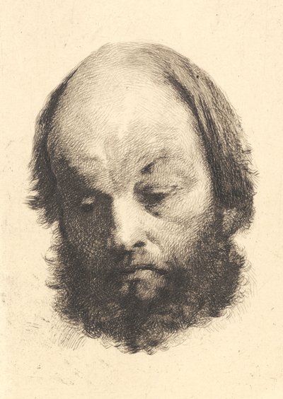 Zwartbaardige man, Garibaldi door Frans Schwartz