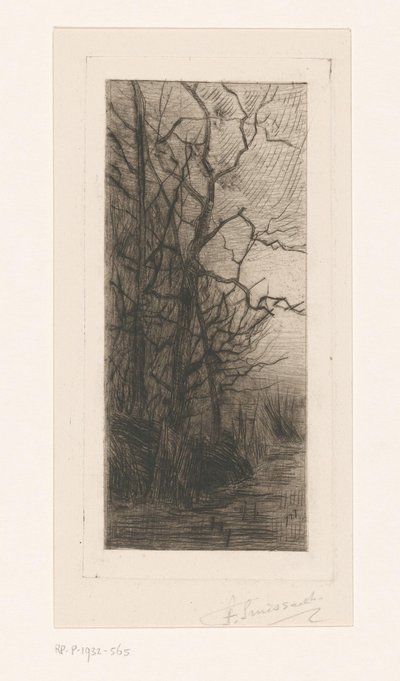 Bomen aan het water door Frans Smissaert (signed by artist)
