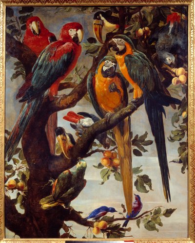 Papegaaien en andere vogels door Frans Snyders