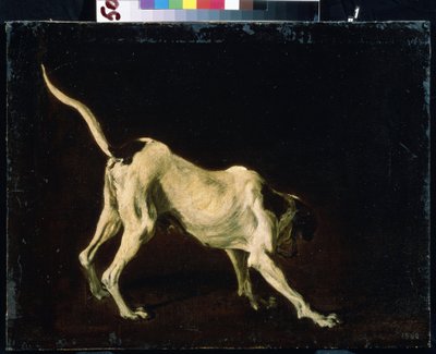 Een hond door Frans Snyders or Snijders