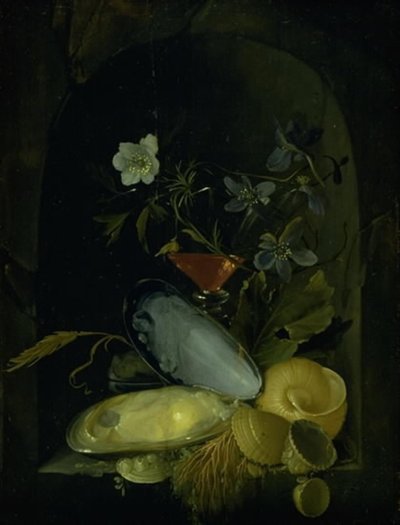 Stilleven met kokkels en blauwe anemonen door Frans van I Mieris