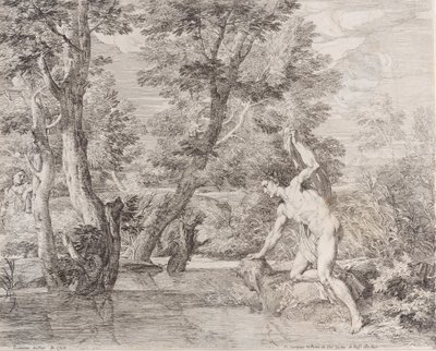 Narcissus en Echo, 17e eeuw door Frans van der Neve