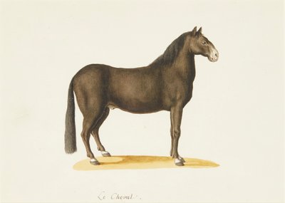 Het Paard door Franz Anton von (attr.to) Scheidel