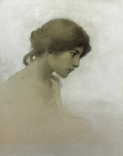 Hoofd van een Meisje (potlood en krijt op papier) door Franz Dvorak