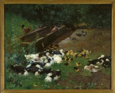 Eendenfamilies door Franz Grassel