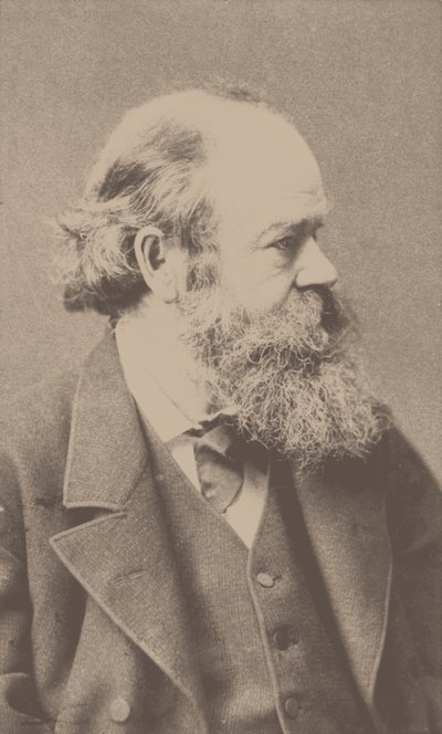 Portret van de componist Robert von Hornstein 1833-1890 door Franz Hanfstaengl
