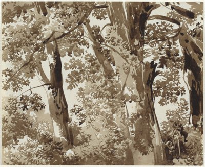 Bomen met dicht struikgewas door Franz Innocenz Josef Kobell
