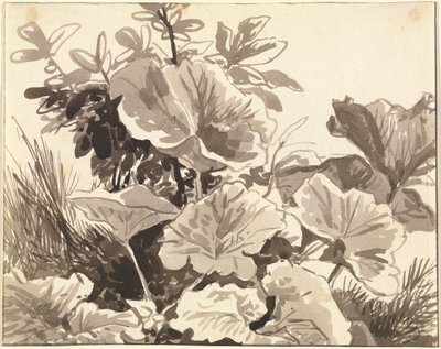 Studie van hoefbladbladeren door Franz Innocenz Kobell