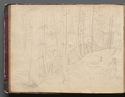 Album met Zichten op Rome en Omgeving, Landschapsstudies, pagina 01b: Romeins Landschap door Franz Johann Heinrich Nadorp