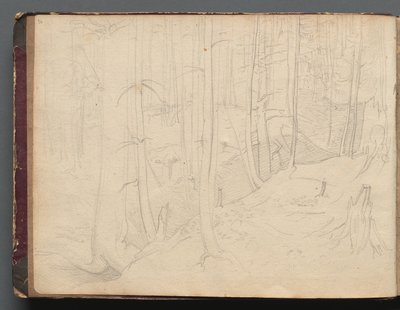 Album met Gezicht op Rome en omgeving, Landschapsstudies, pagina 01b: Romeins landschap door Franz Johann Heinrich Nadorp
