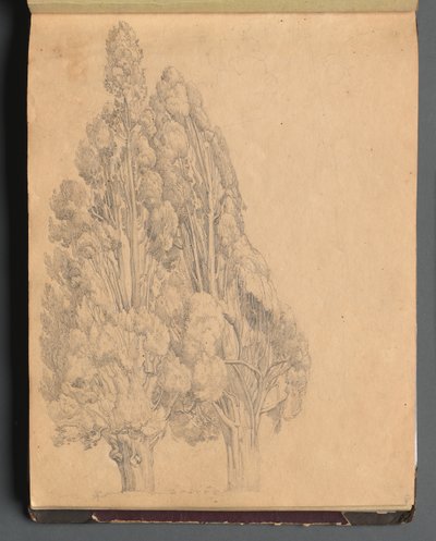 Album met Zichten van Rome en Omgeving, Landschapsstudies, pagina 13a: Bomen door Franz Johann Heinrich Nadorp