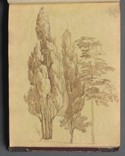 Album met Zichten op Rome en Omgeving, Landschapsstudies, pagina 15a: Bomen door Franz Johann Heinrich Nadorp