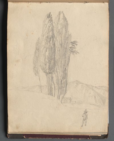 Album met Uitzichten van Rome en Omgeving, Landschapsstudies, pagina 20a: Bomen door Franz Johann Heinrich Nadorp