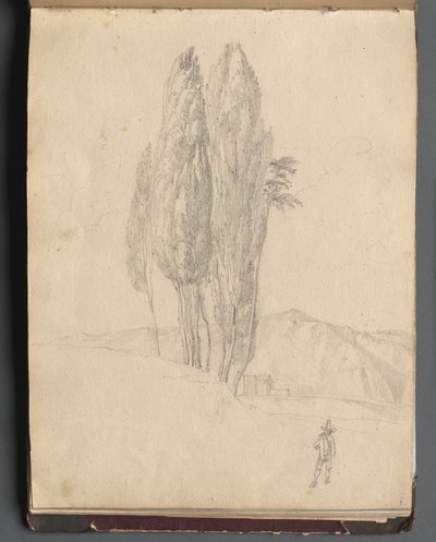 Album met Zichten op Rome en Omgeving, Landschapsstudies, pagina 20a: Bomen door Franz Johann Heinrich Nadorp