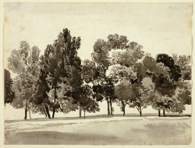 Bos van Bladerrijke Bomen door Franz Kobell