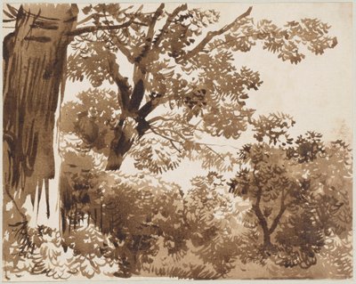 In het bos door Franz Kobell