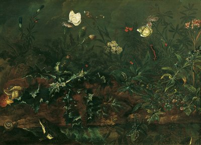 Grasstuk met Distel, Kikkers en Libelle door Franz Michael Siegmund von Purgau d. Ä.