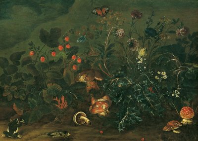 Grasveld met aardbeien en krekel door Franz Michael Siegmund von Purgau d. Ä.