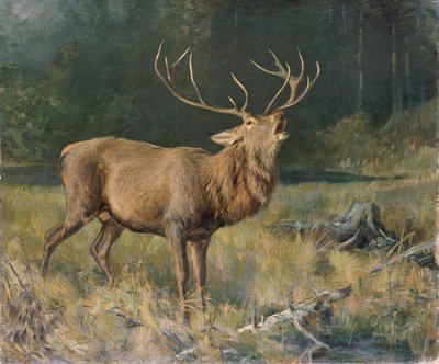 Bronst hert door Franz Xaver von Pausinger