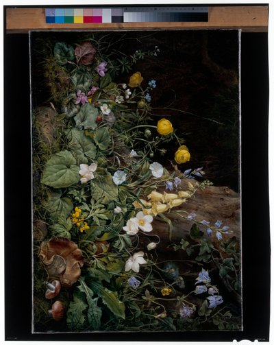 Wilde bloemen aan de voet van een boom door Franz Xavier Petter