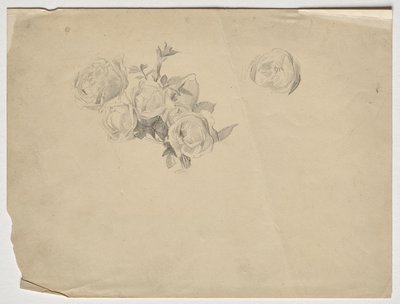 Rozenstudie door Franz von Matsch