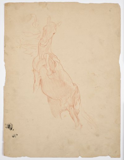 Studies van een stijgend paard door Franz von Matsch