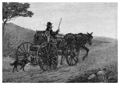Een Colac-konijnenjager, 1886 door Frederic B. Schell